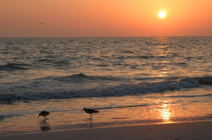 Plan a Quick and Easy Trip to Florida’s Anna Maria Island