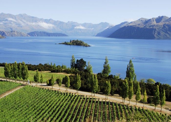 New Zealand’s next top wine region