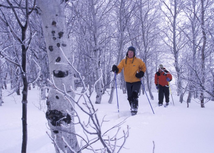 Free skiing and snowshoeing for newbies