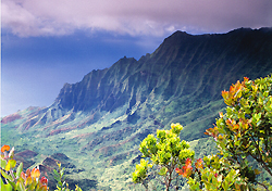 Road trip around Hawaii’s islands?