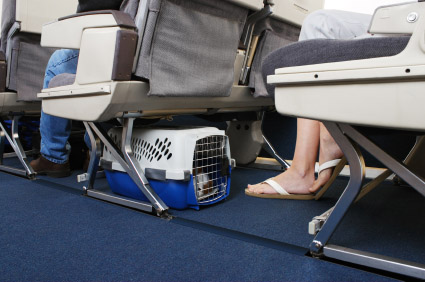 Who Says Airline Fees Are for the Dogs?