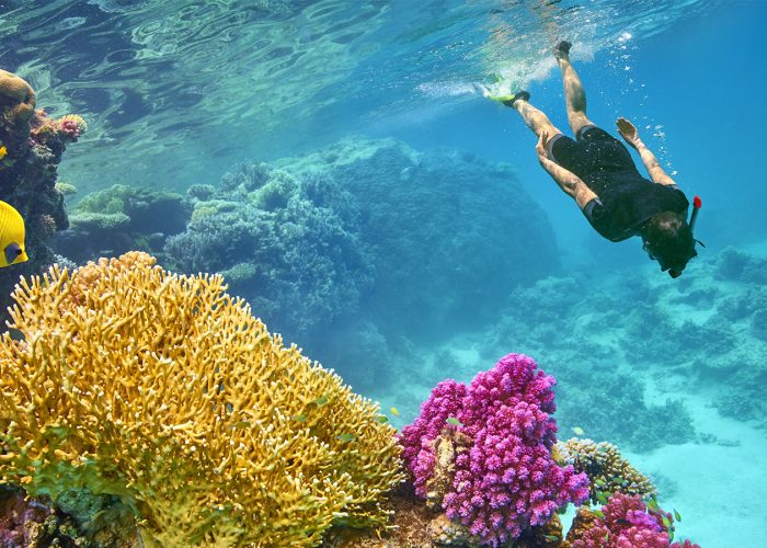 10 Unique Snorkeling Sites around the World