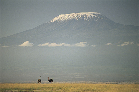Mt. Kilimanjaro, Tanzania, Africa
