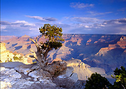 National Parks … For Sale? Proposal Would Help Pay Off National Debt