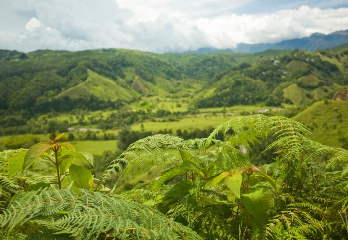 Daily Daydream: Zona Cafetera, Colombia