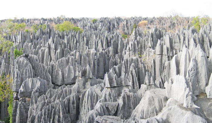Daily Daydream: Stone Forest of Madagascar