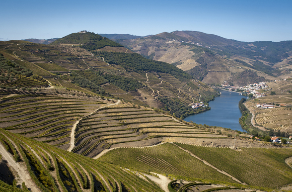 Alto Douro Wine Region