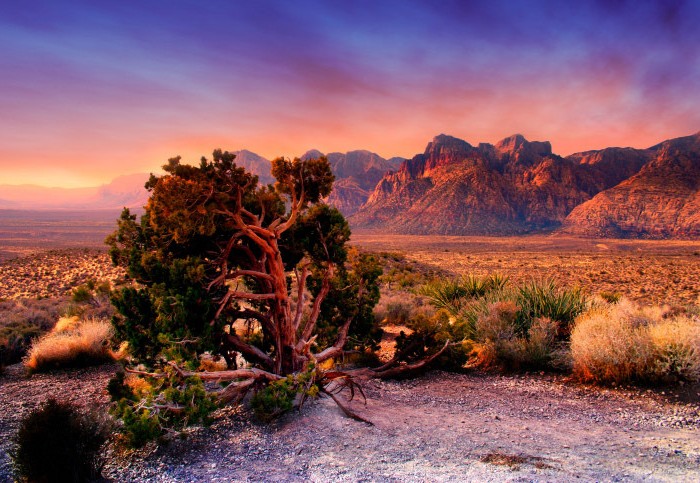 Daily Daydream: Natural Beauty Just Beyond Las Vegas