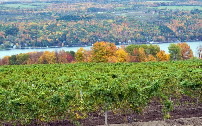 Finger Lakes: The Napa Valley of New York