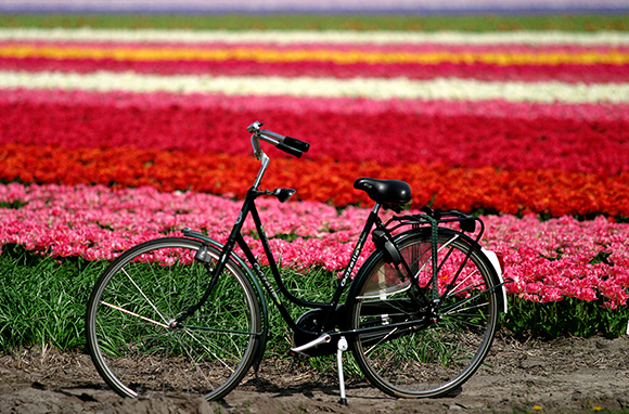 Netherlands: Fourth Place, The World Happiness Report