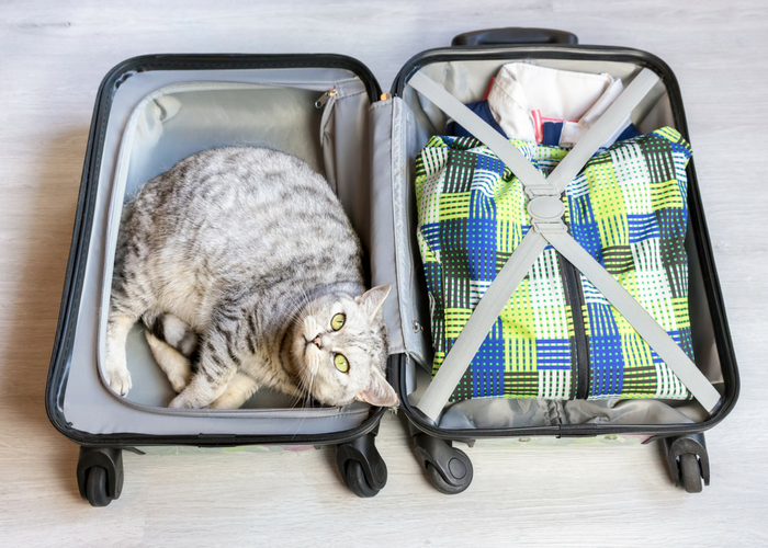 packing tips for tricky items