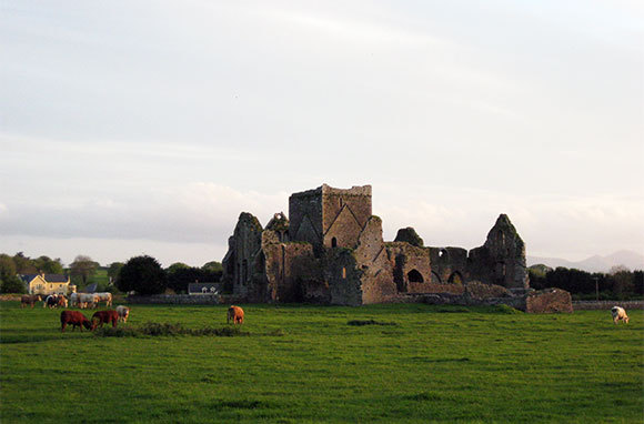 Hore Abbey, County Tipperary, Ireland