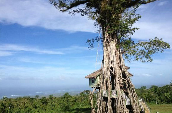 Lupe Sina Treesort, Samoa