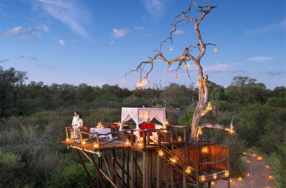 Chalkley Tree House At Lion Sands Game Reserve, South Africa
