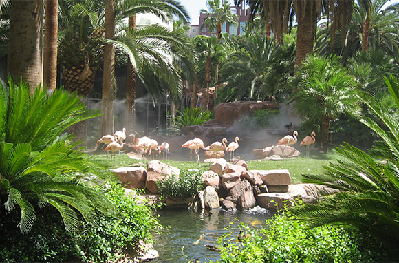Flamingo, Las Vegas, Nevada