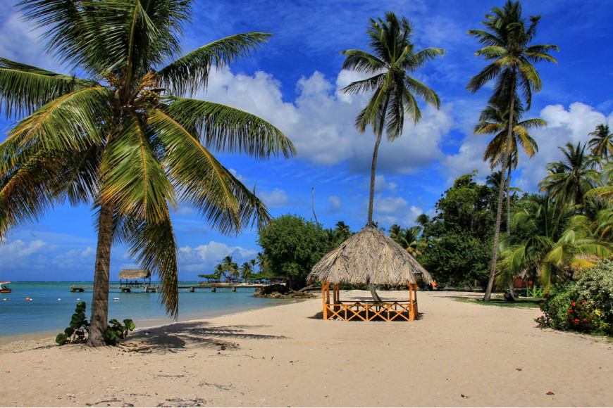 trinidad and tobago palm trees ob the beach.