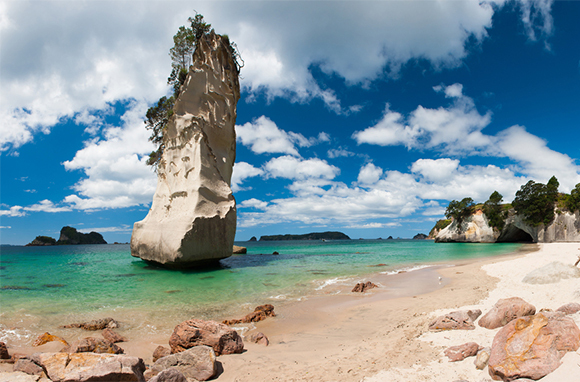 Explore the Wonders of Cathedral Cove