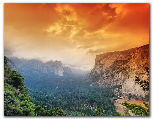 Celebrating 150 Years of Yosemite