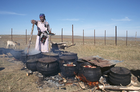 Pot Food in South Africa
