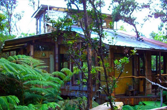 A Luxury Tree House in Hawaii for $45 Per Person, Per Night