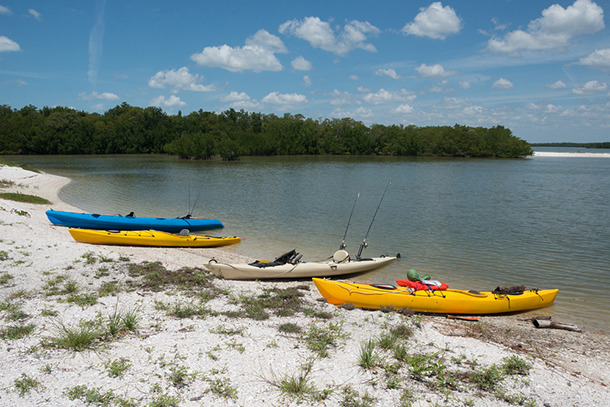 Arm Strengthening and Character Building: Kayaking in Southern Florida