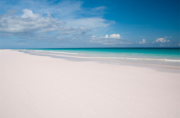 Pink: Pink Sands Beach, Harbour Island, Bahamas