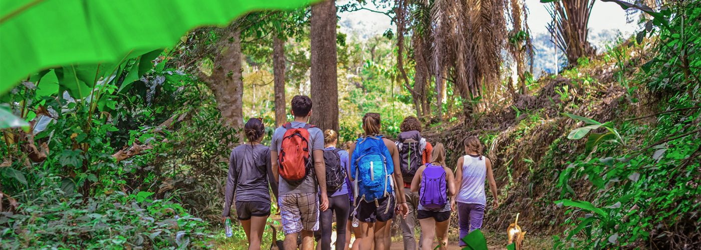 group of tourists walking through rainforest