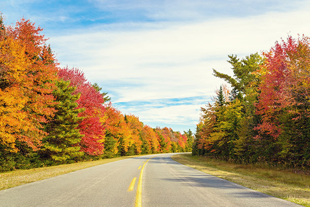 10 Last-Minute Road Trips for Columbus Day Weekend