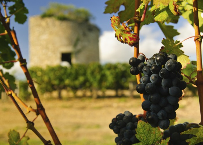 More than Just Wine: Why You Need to Go to Bordeaux Now