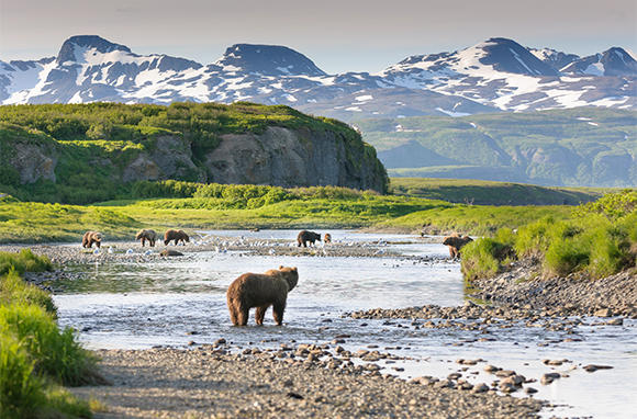 Summer: Katmai National Park & Preserve, Alaska