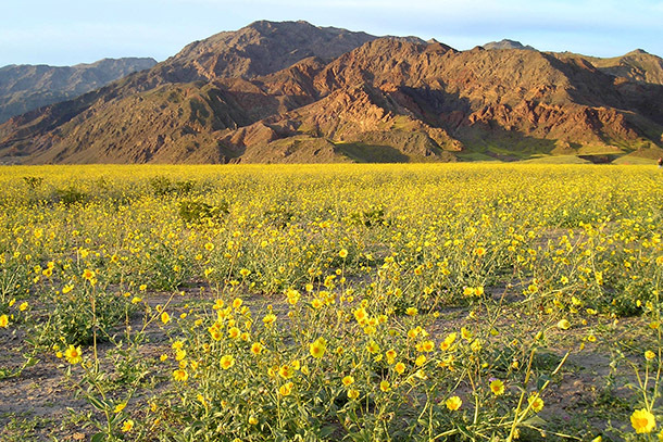 Death Valley: Our February National Park of the Month