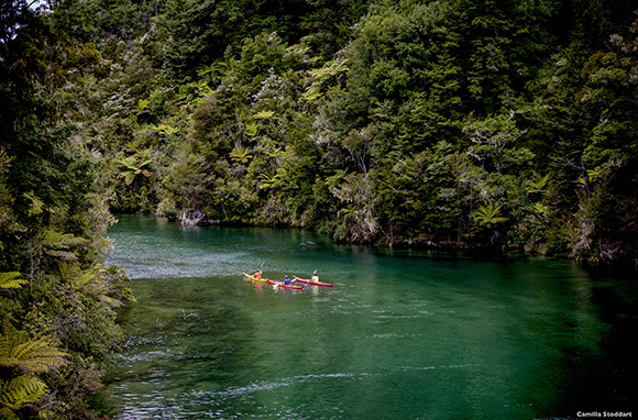 6 New Zealand Adventures That Anyone Can Do