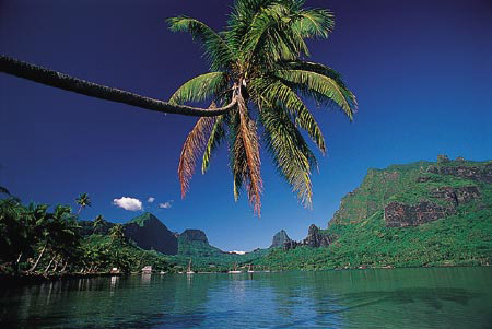Win a Cruise of Tahiti and the Society Islands