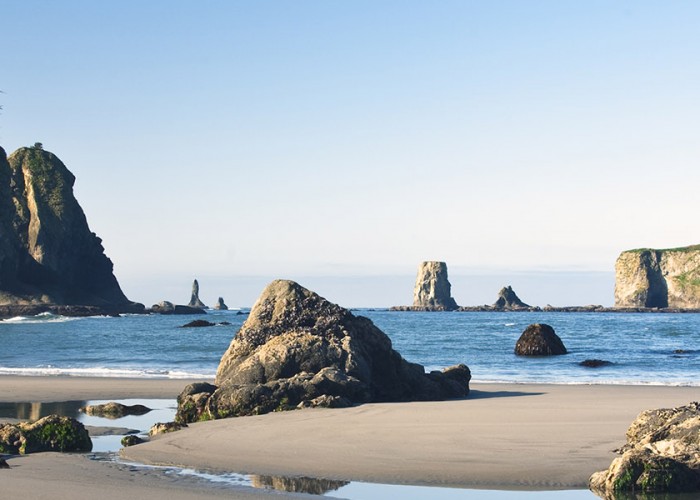 Olympic National Park: Our May National Park of the Month