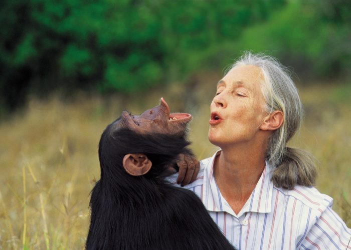 G Adventures Launches Partnership with the Jane Goodall Institute