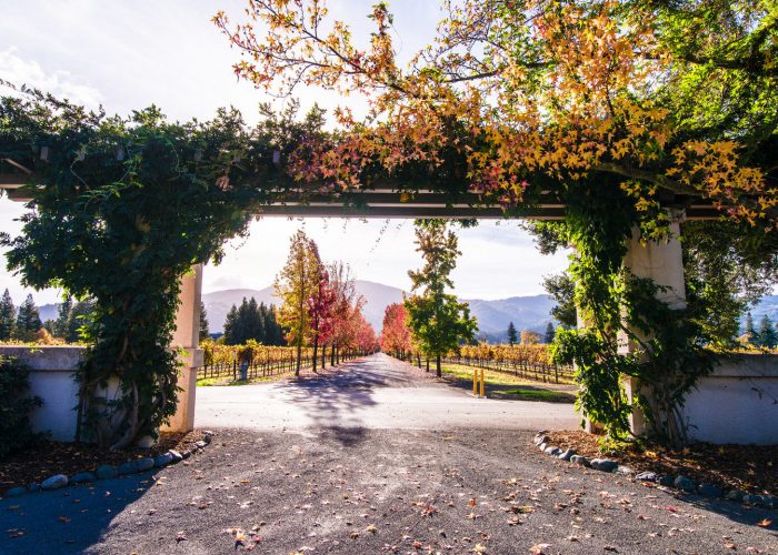 7 Things to Do in Napa This Fall