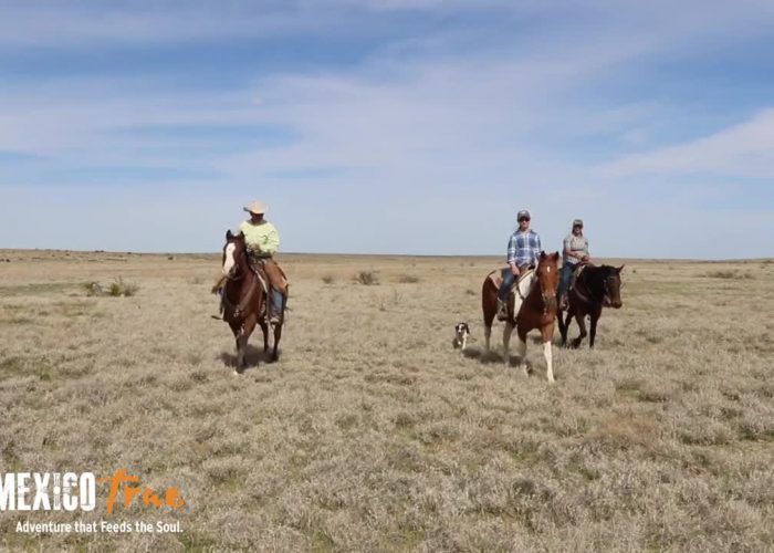 Burnt Well Guest Ranch – A New Mexico True Experience