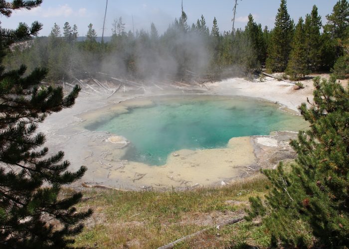 Yellowstone & Salt Lake City: 4-Day Tour from $373