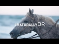 More Than A Walk In A Park | #naturallyDR