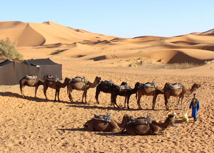 best things to do in morocco sahara desert