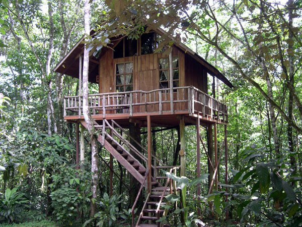 treehouse hotel costa rica