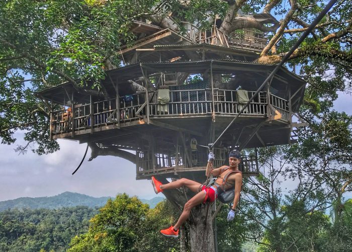 10 Most Incredible Tree House Hotels in the World