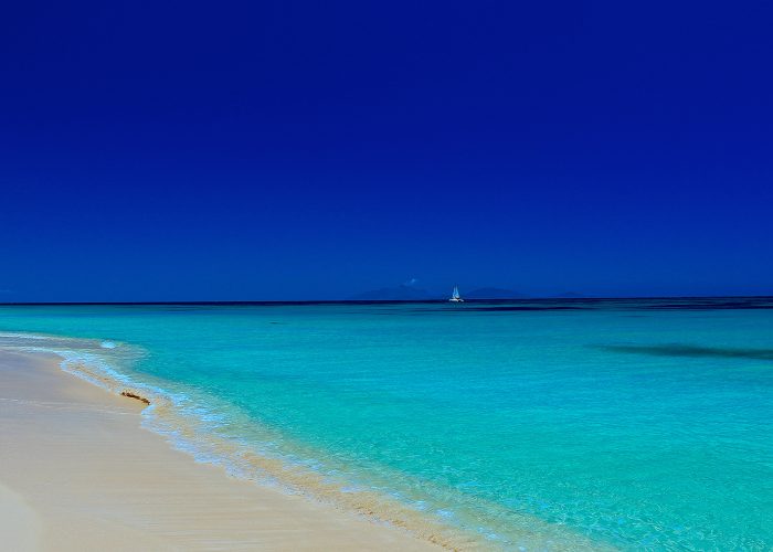 caribbean beach with sailboat