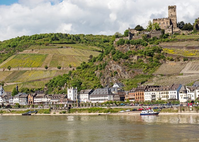 Rudesheim am Rhein Things to Do