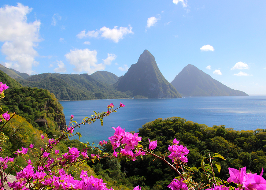 st lucia twin pitons with pink flowers