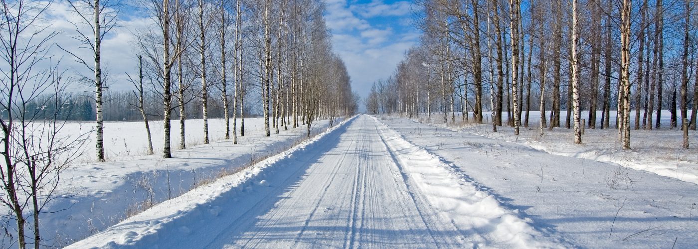 winter snowy road with trees