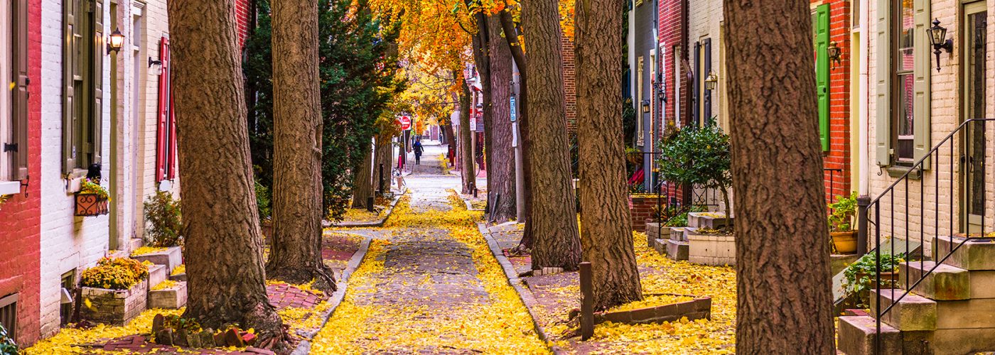 autumn street in philadelphia