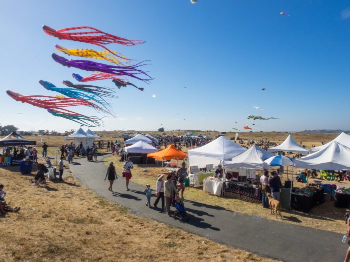Kite festival at the berkeley marina