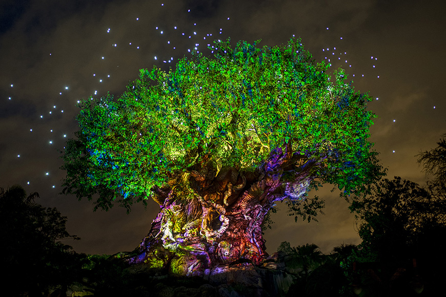 Disney’s Animal Kingdom iconic tree of life