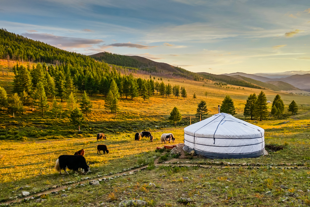 mongolian-yurt